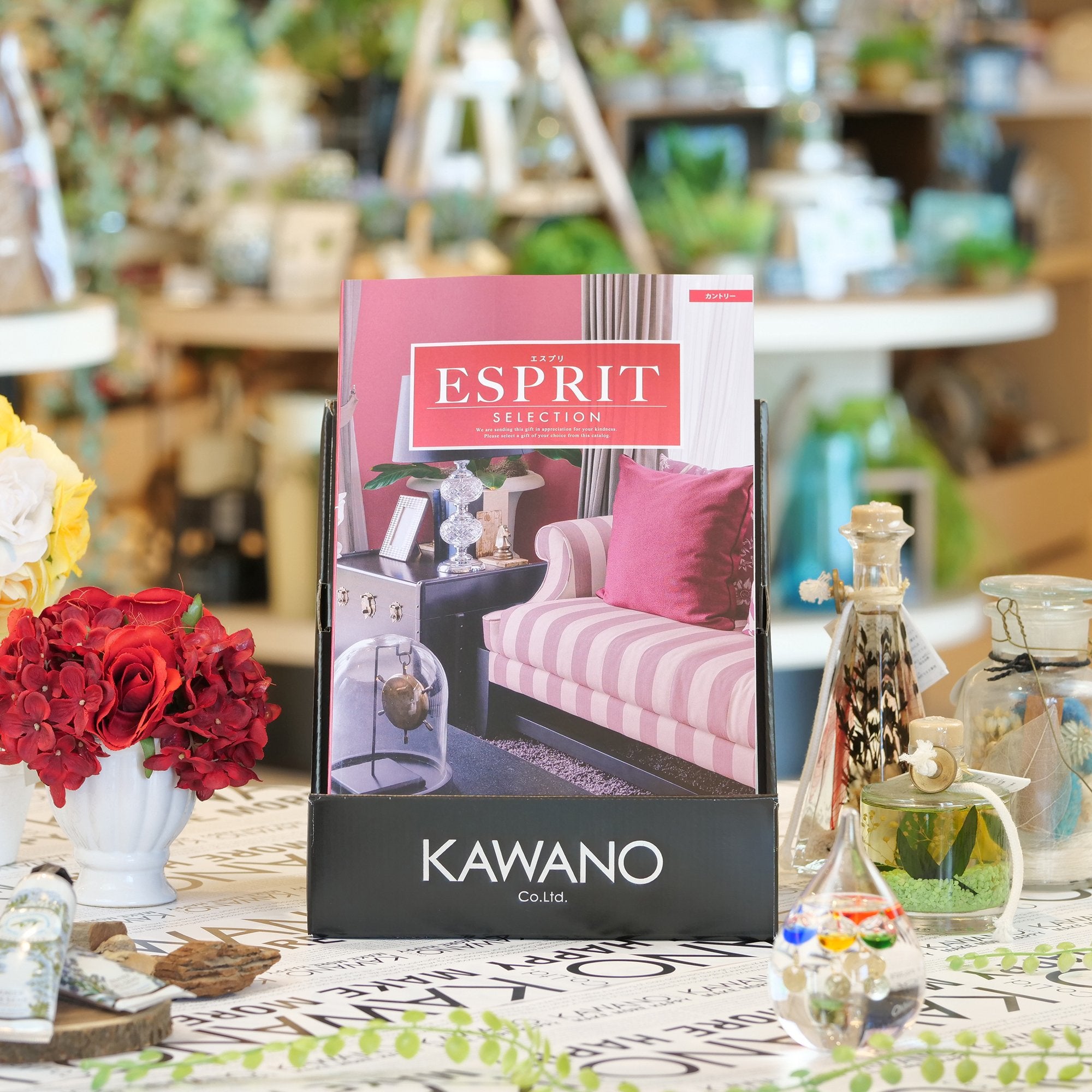 カンドゥー ハイシーズン親子入場券 H – KAWANO ONLINE SHOP