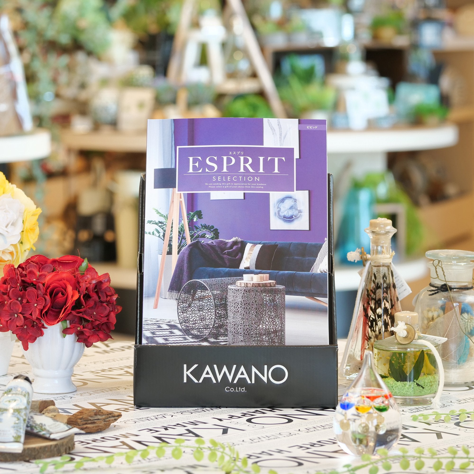 フッチェンロイター〉ティータイムセット – KAWANO ONLINE SHOP